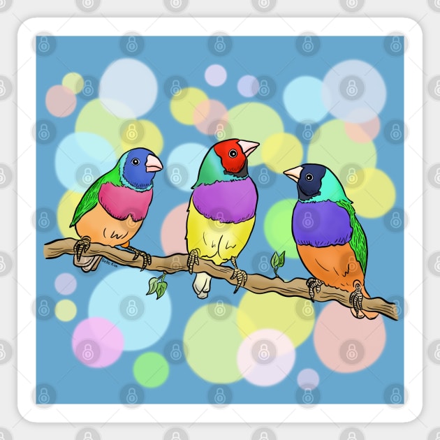 Gouldian finch birds Sticker by doodletokki